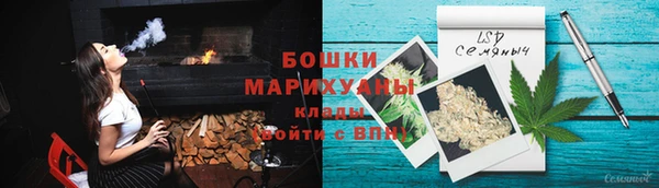 мдпв Заводоуковск