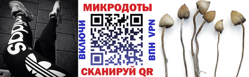 Галлюциногенные грибы ЛСД  Рудня 